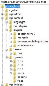 Typical WordPress File Structure
